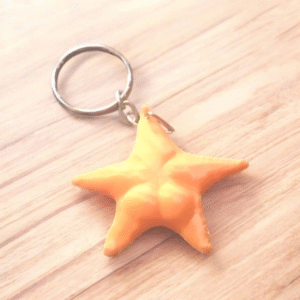 Llavero Estrella Conicet